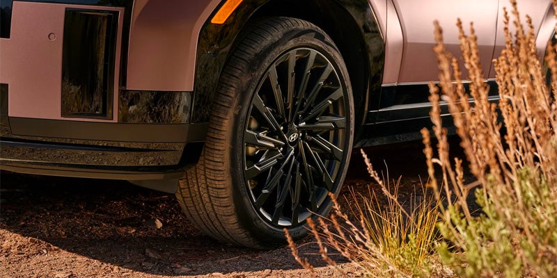 Primer plano de la rueda negra brillante con radios plateados de un coche rosa sobre un camino de tierra cubierto de hierba seca.